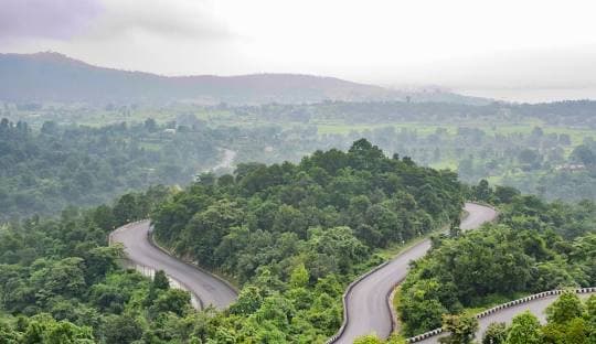 Dalma Wildlife Sanctuary